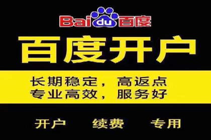 某企业通过SEM实现品牌与销售双增长的案例